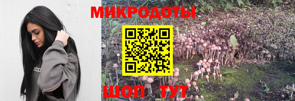 Галлюциногенные грибы MAGIC MUSHROOMS  Вход с VPN  Пушкино  купить наркотик  Псилоцибиновые грибы Psilocybine cubensis 